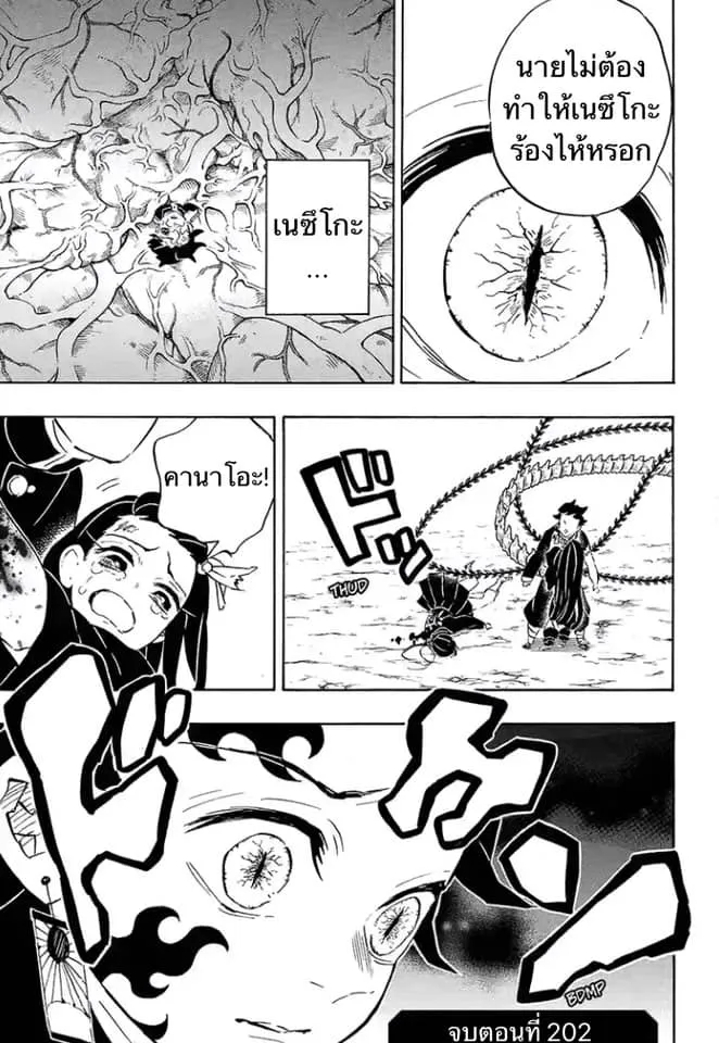 Kimetsu no Yaiba - หน้า 17