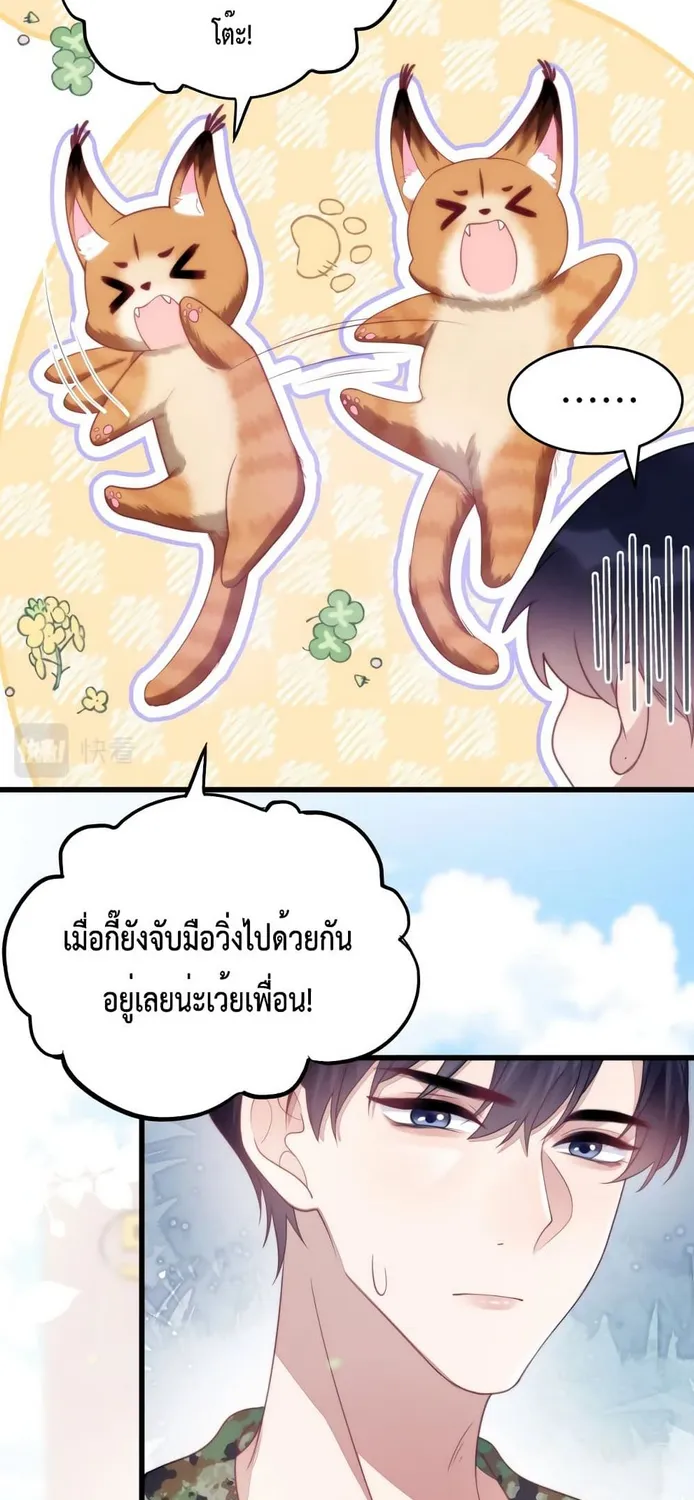 Little Cat Big Love - หน้า 4