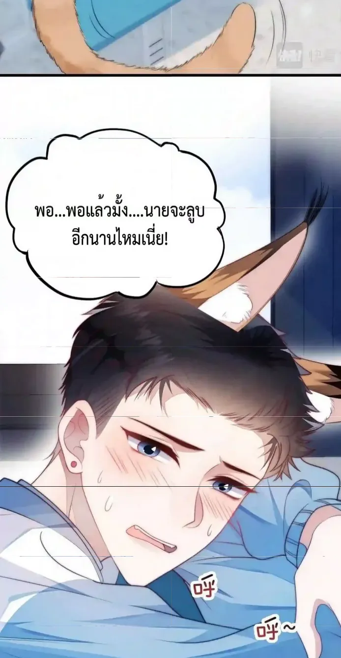 Little Cat Big Love - หน้า 29