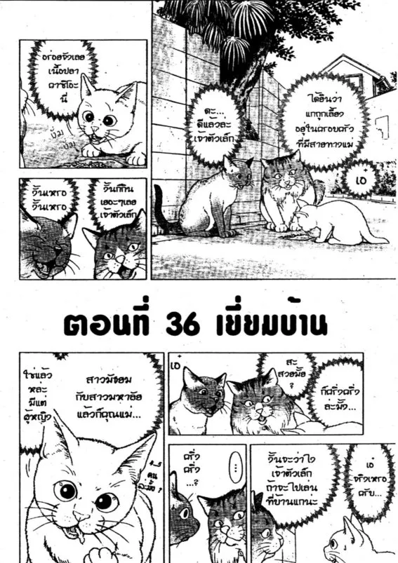 SiamManga Comic online