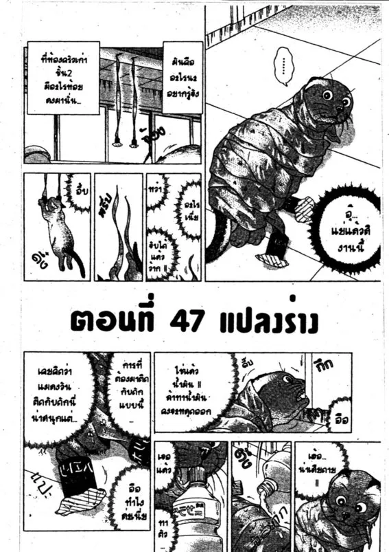 Meow - หน้า 2