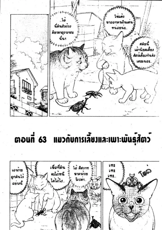 SookManga Comic online