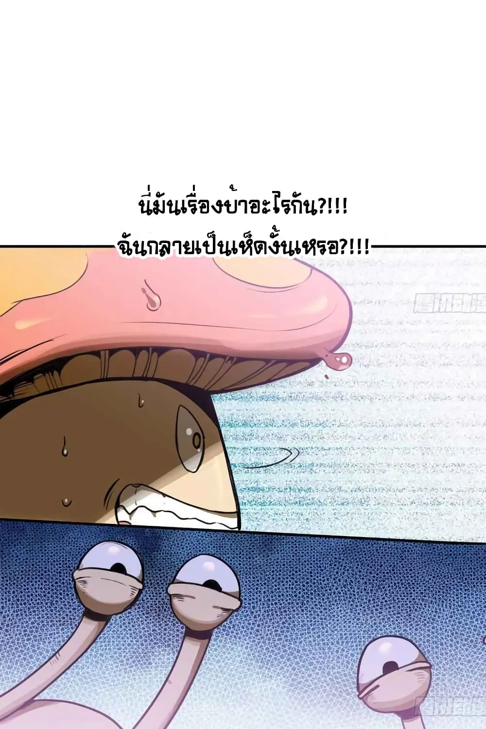 Mushroom Brave - หน้า 3