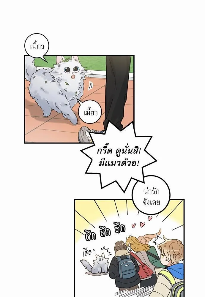 My one and only cat มารักกับเหมียวมั้ยครับ - หน้า 28