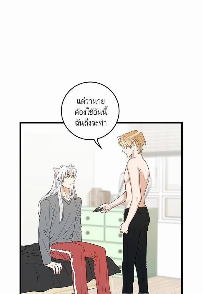 My one and only cat มารักกับเหมียวมั้ยครับ - หน้า 33