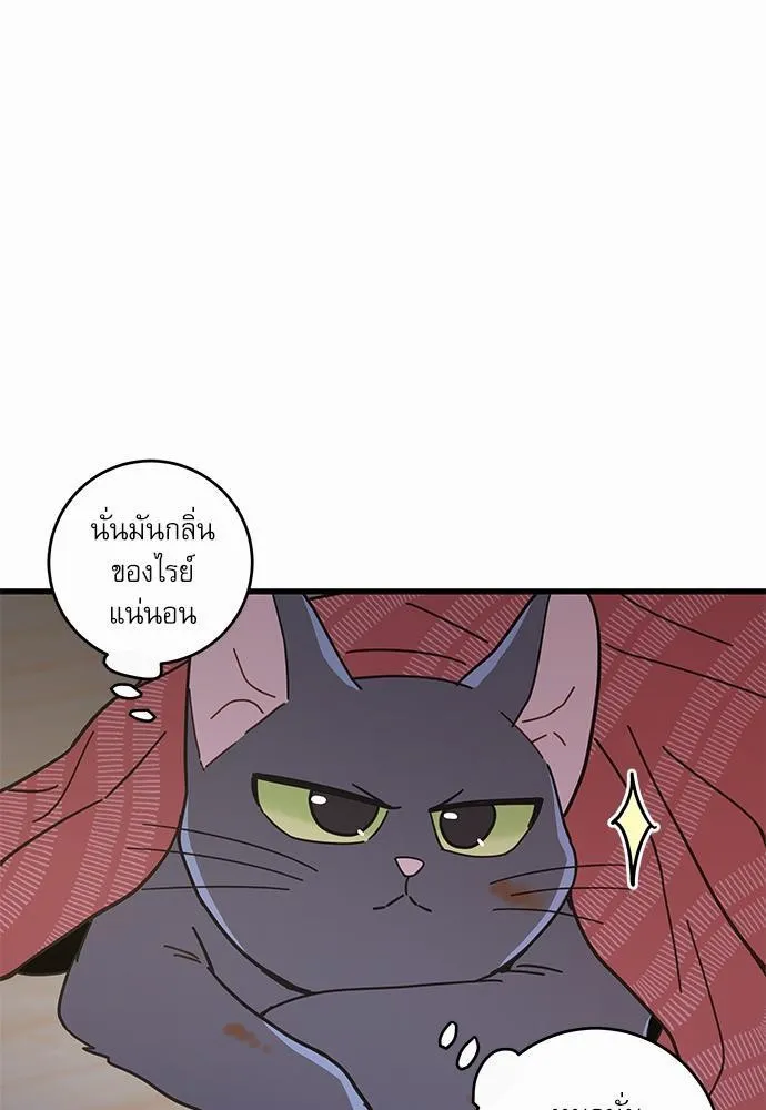 My one and only cat มารักกับเหมียวมั้ยครับ - หน้า 72