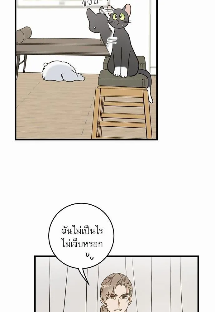 My one and only cat มารักกับเหมียวมั้ยครับ - หน้า 58