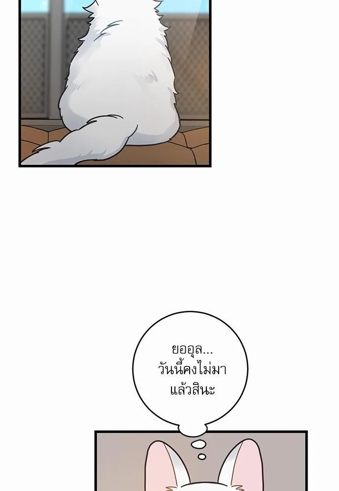 My one and only cat มารักกับเหมียวมั้ยครับ - หน้า 52