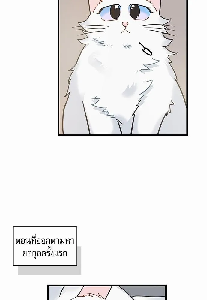 My one and only cat มารักกับเหมียวมั้ยครับ - หน้า 53