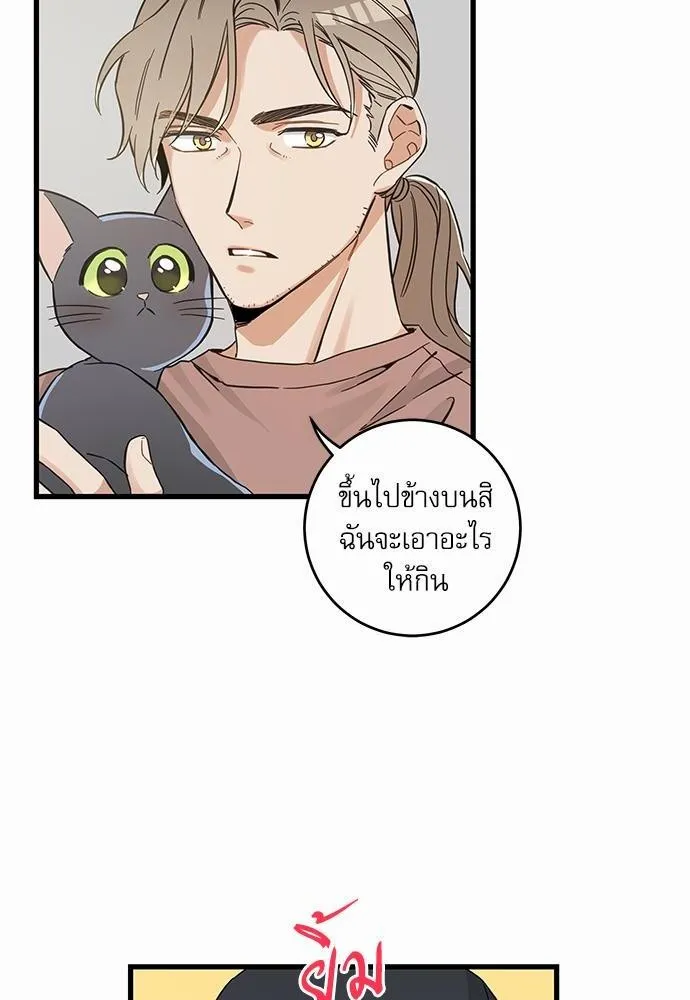 My one and only cat มารักกับเหมียวมั้ยครับ - หน้า 63