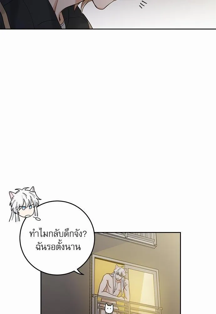 My one and only cat มารักกับเหมียวมั้ยครับ - หน้า 17