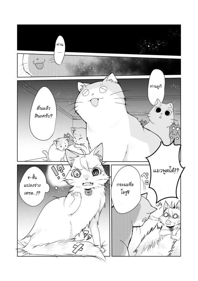 Nekomusume Shoukougun - หน้า 5