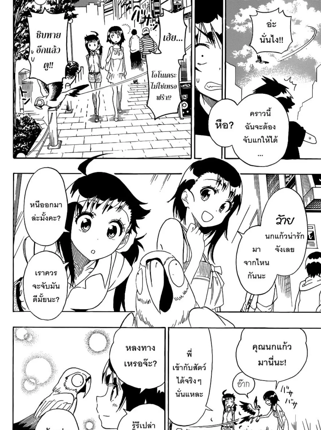 Nisekoi - หน้า 22