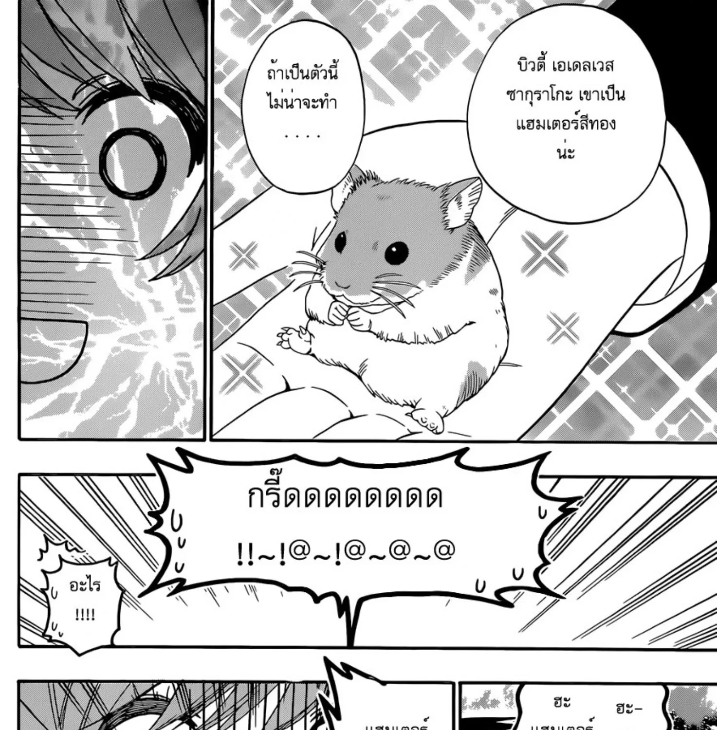 Nisekoi - หน้า 26