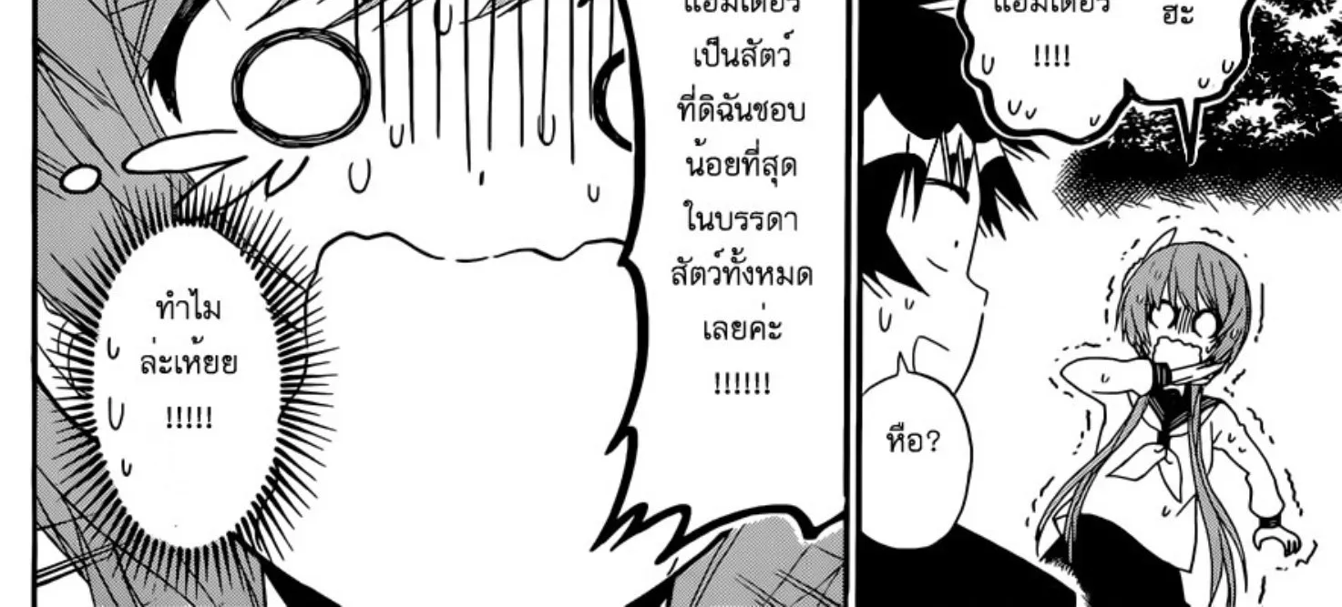 Nisekoi - หน้า 27