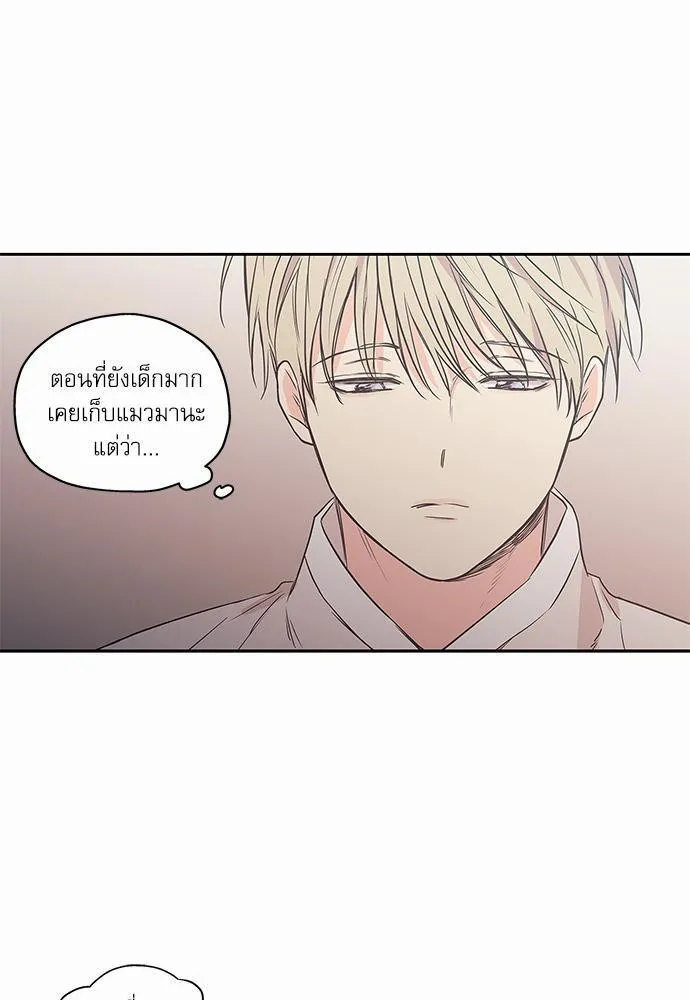 No Love Zone เขตจำกัดรัก - หน้า 4