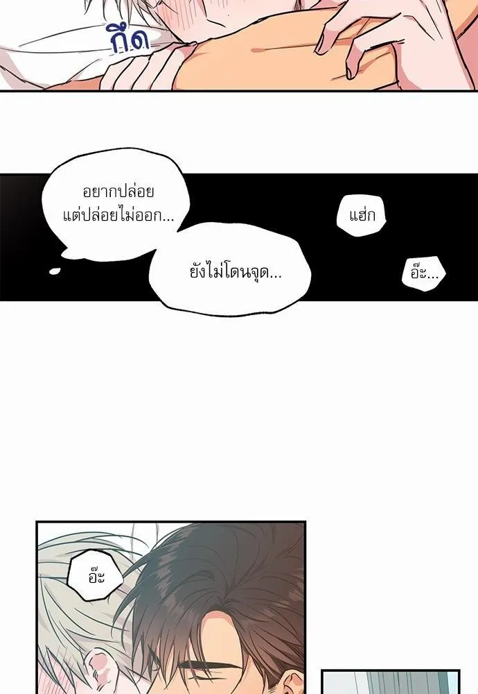 No Love Zone เขตจำกัดรัก - หน้า 23