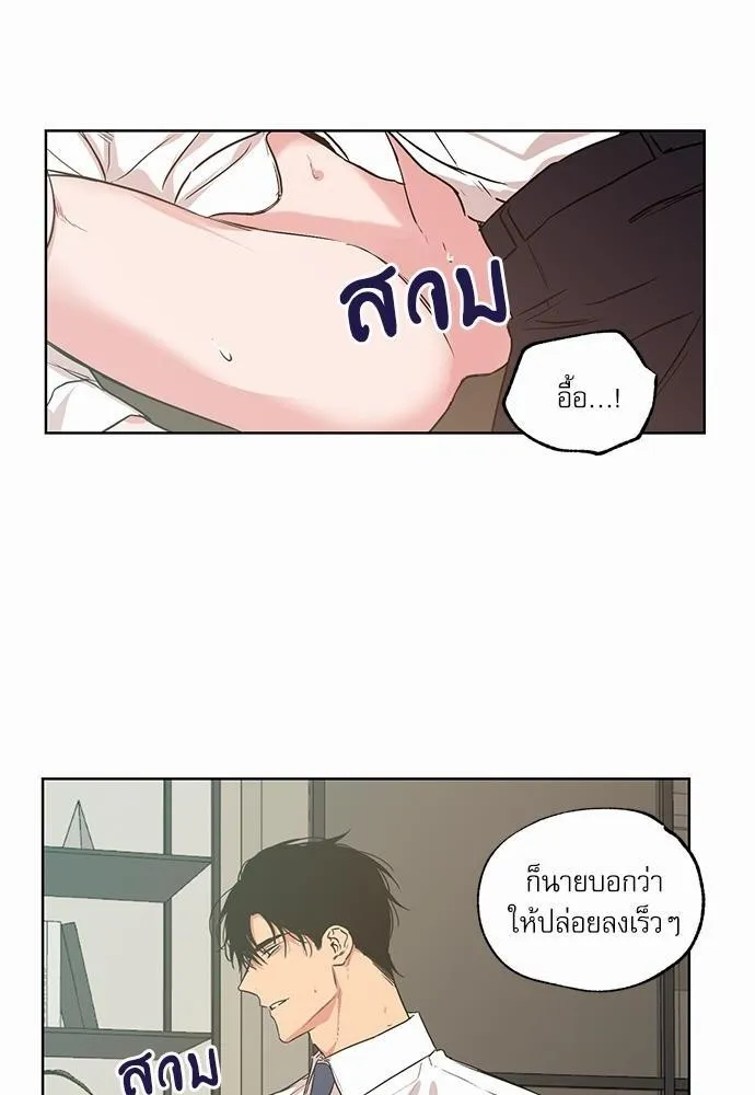 No Love Zone เขตจำกัดรัก - หน้า 11