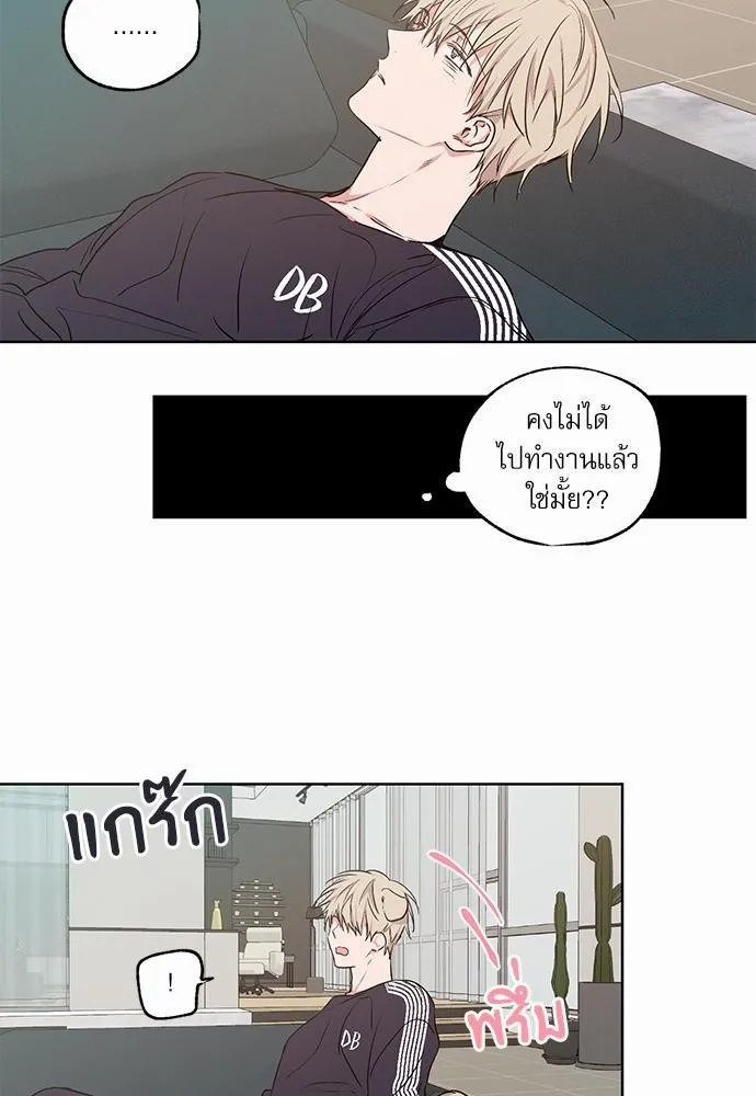 No Love Zone เขตจำกัดรัก - หน้า 31