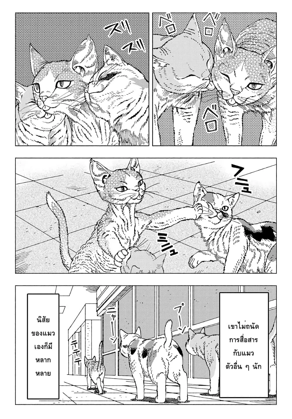 Nyaight of the Living Cat - หน้า 3