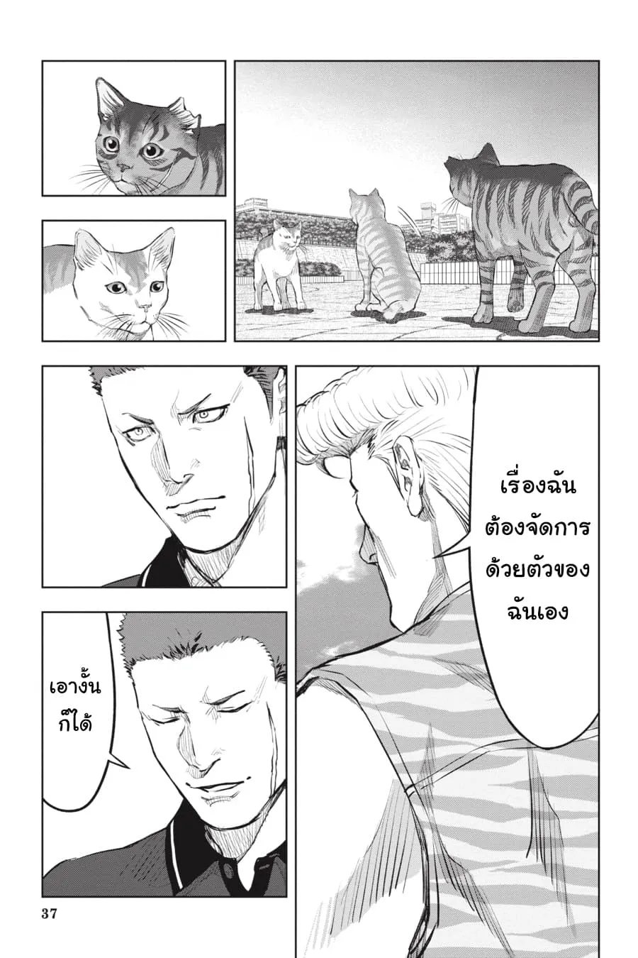 Nyankees - หน้า 2