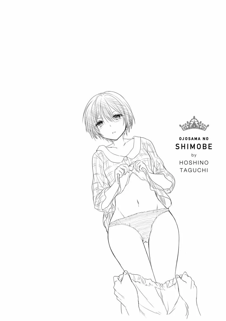 Ojousama no Shimobe - หน้า 17