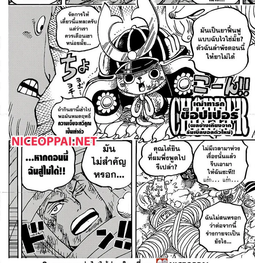 One Piece - หน้า 11