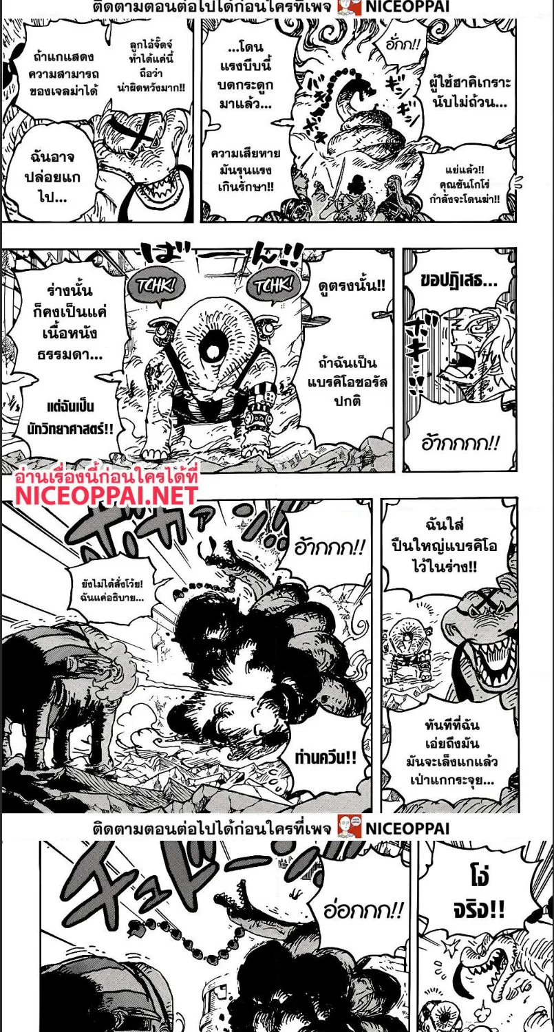 One Piece - หน้า 13