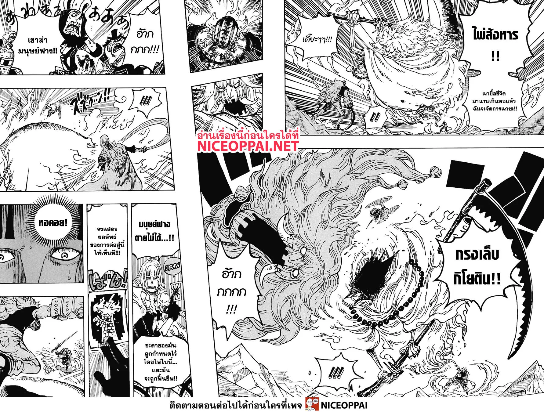 One Piece - หน้า 13