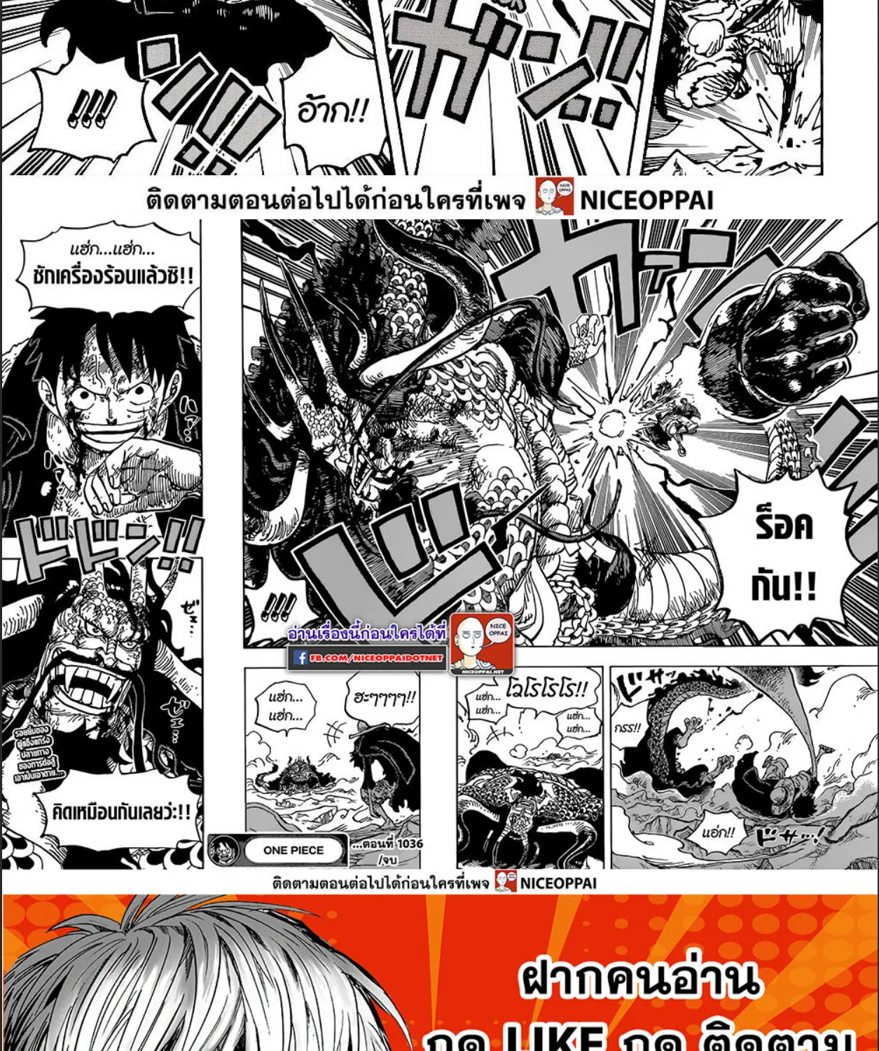 One Piece - หน้า 19