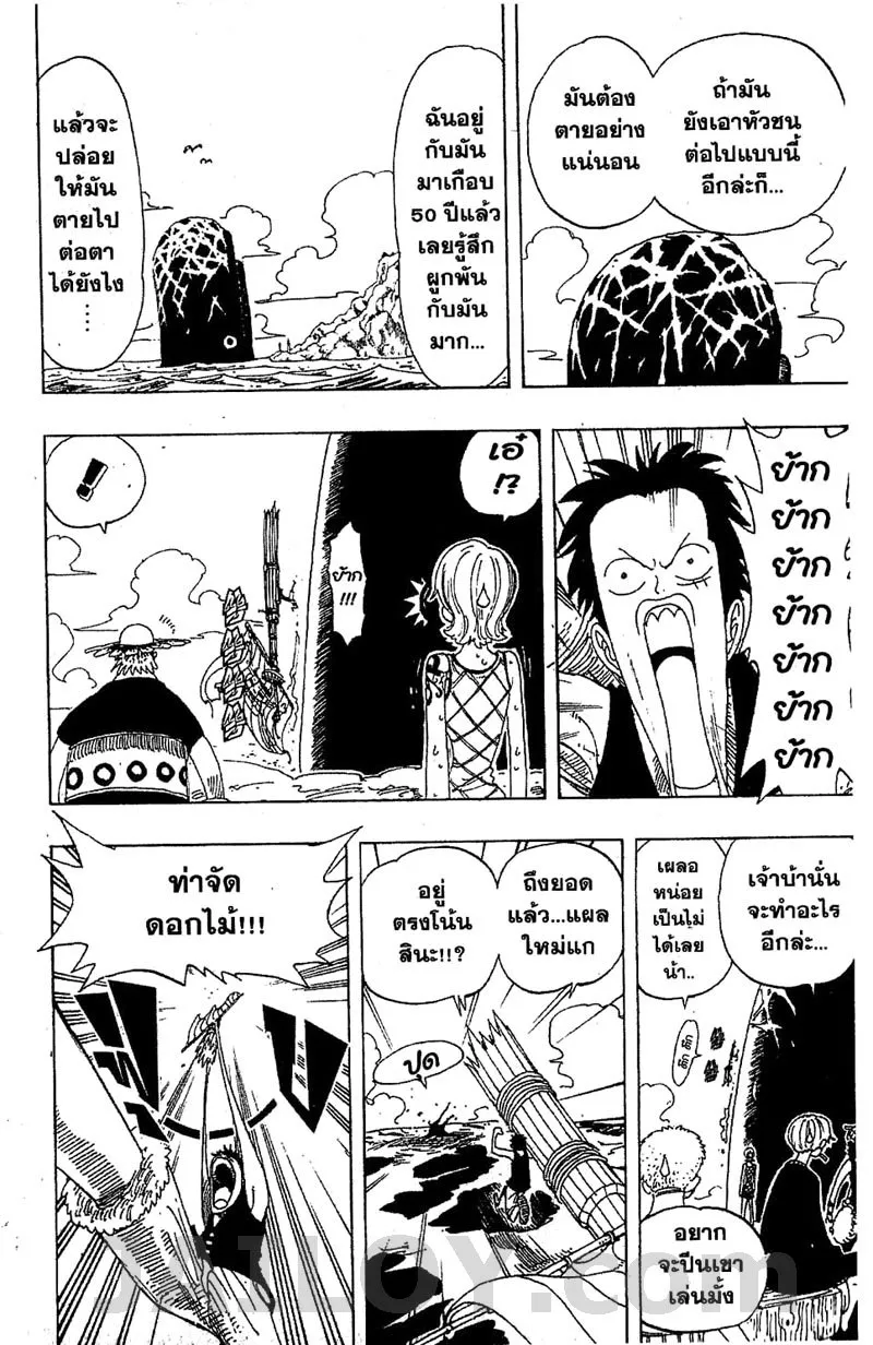 One Piece - หน้า 11