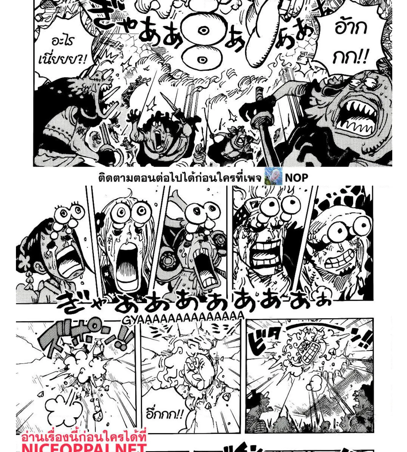 One Piece - หน้า 13