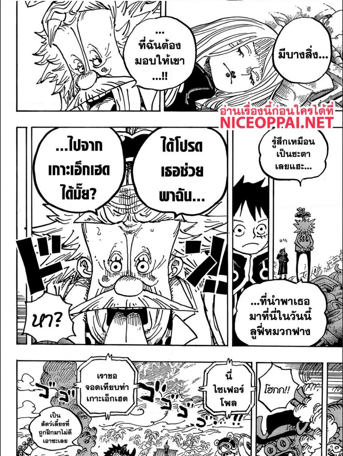 One Piece - หน้า 13