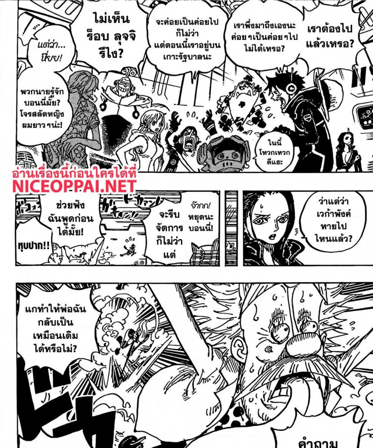 One Piece - หน้า 13