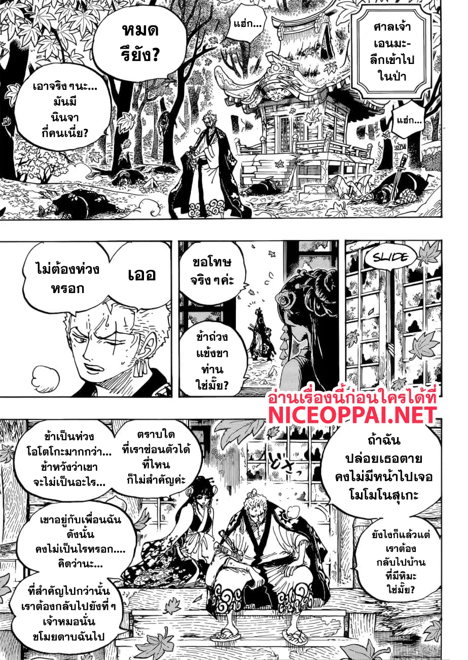 One Piece - หน้า 13