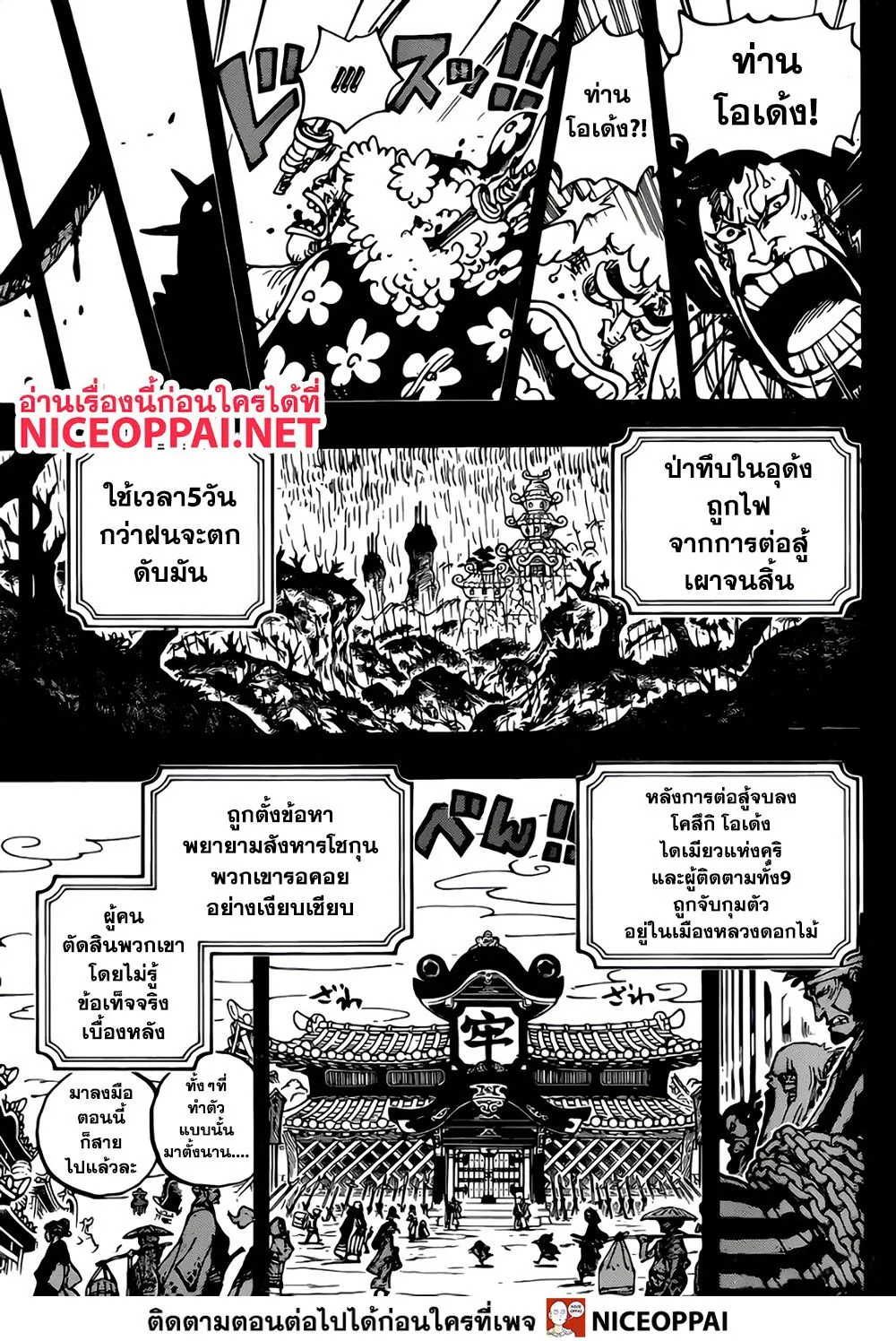 One Piece - หน้า 13