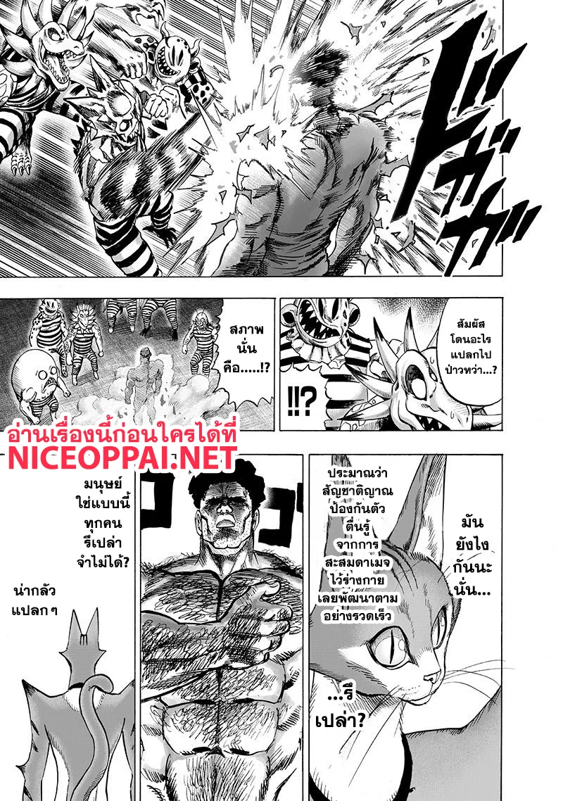 One Punch-Man - หน้า 29