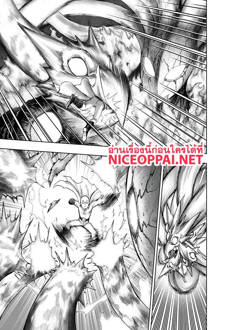 One Punch-Man - หน้า 29