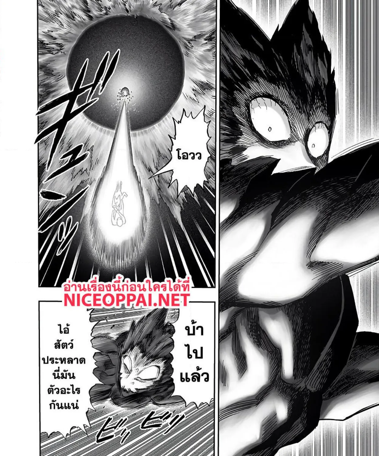 One Punch-Man - หน้า 29