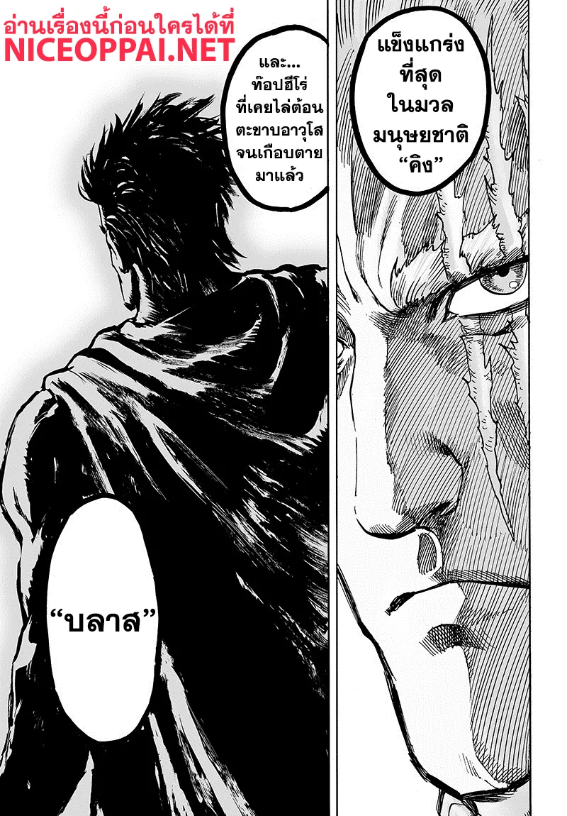 One Punch-Man - หน้า 29