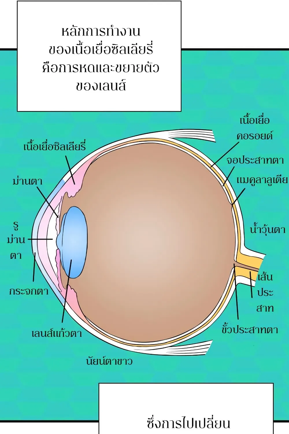 Perfect Surgeon - หน้า 71