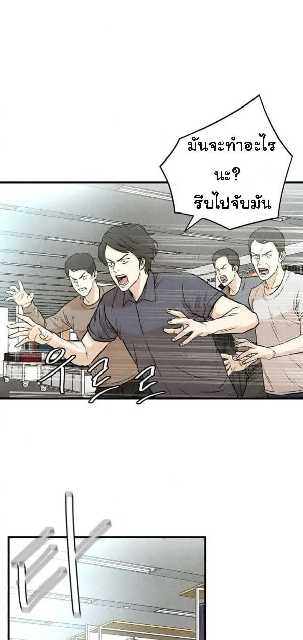 Return Survival - หน้า 8