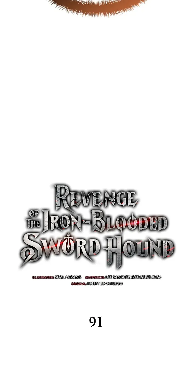 Revenge of the Iron-Blooded Sword Hound - หน้า 27