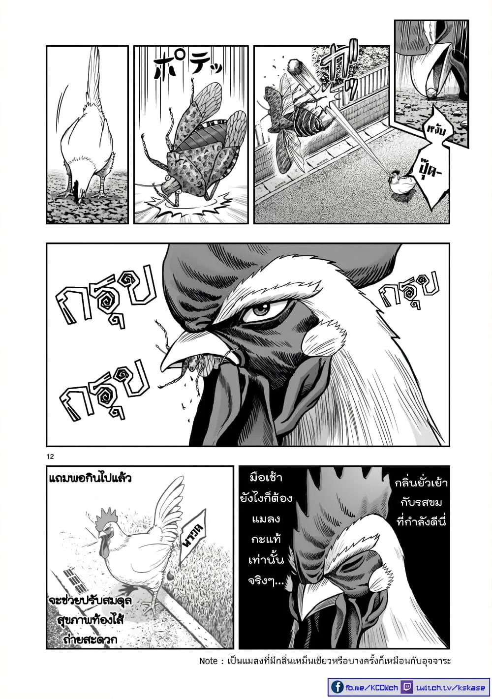 Rooster Fighter - หน้า 10