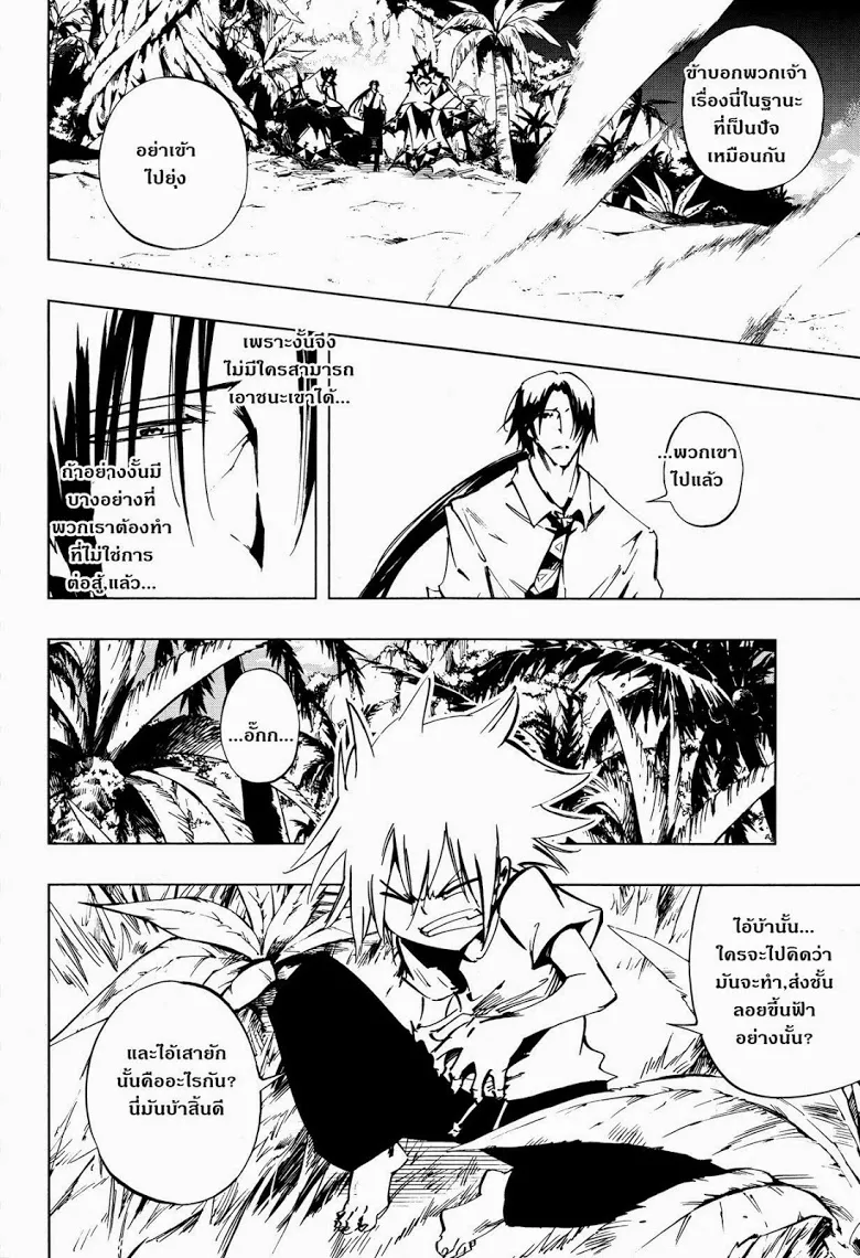 Shaman King: Flowers - หน้า 29