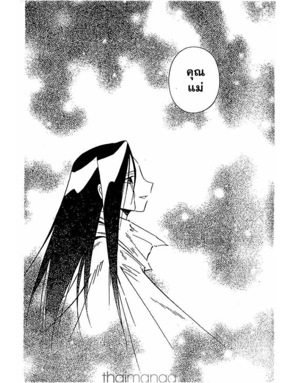 Shaman King - หน้า 14