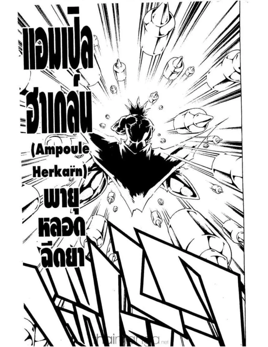 Shaman King - หน้า 13