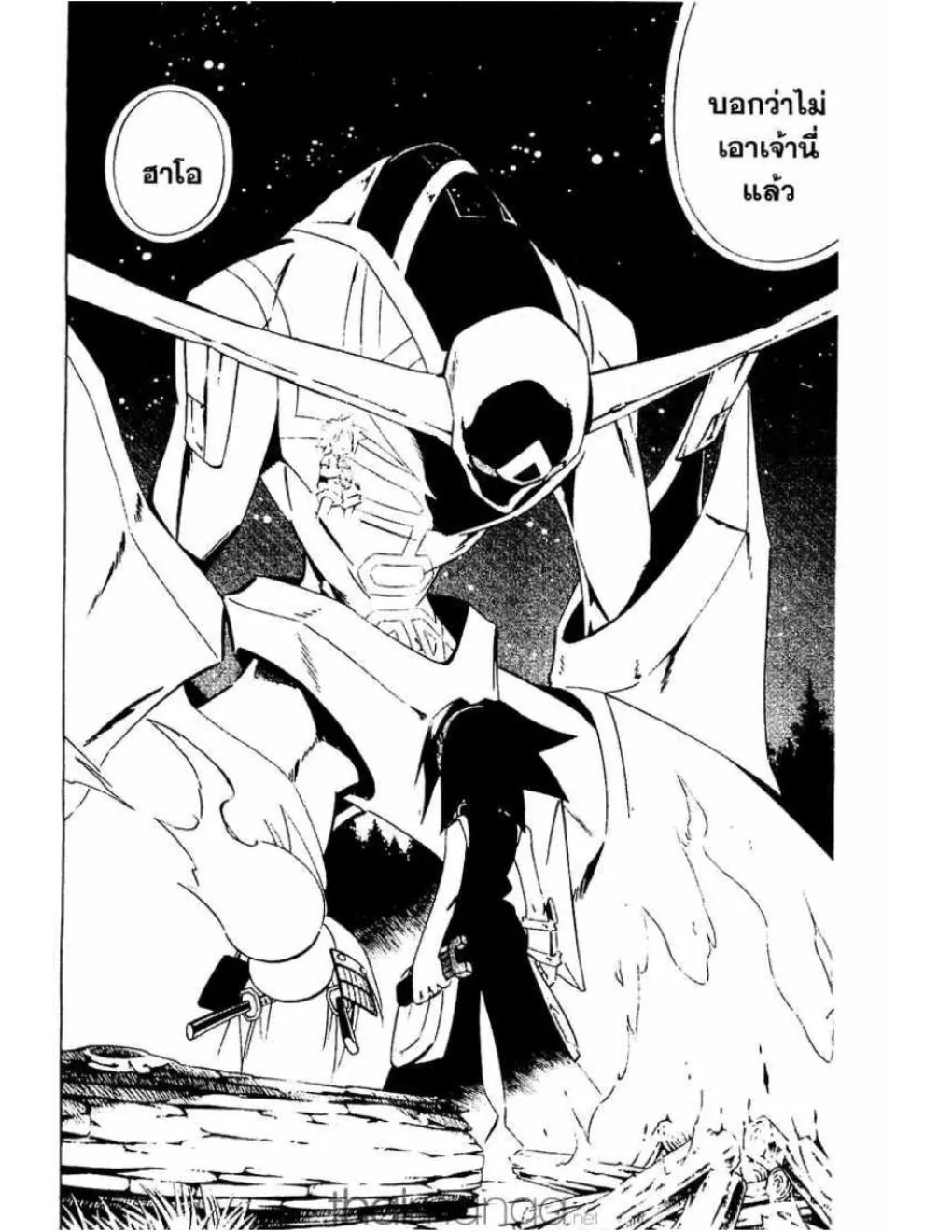 Shaman King - หน้า 14