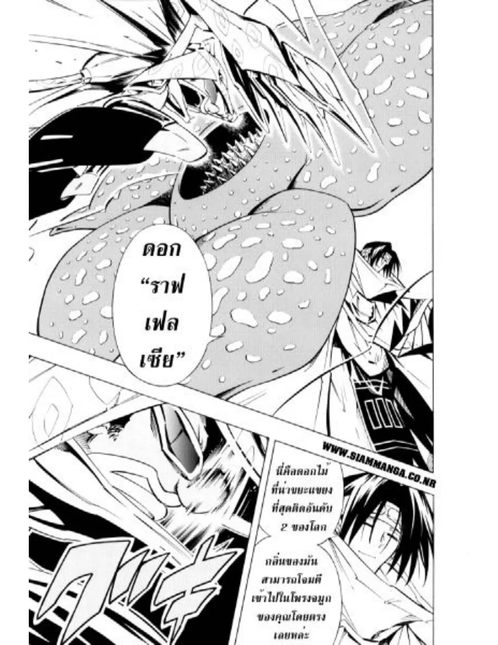 Shaman King - หน้า 2