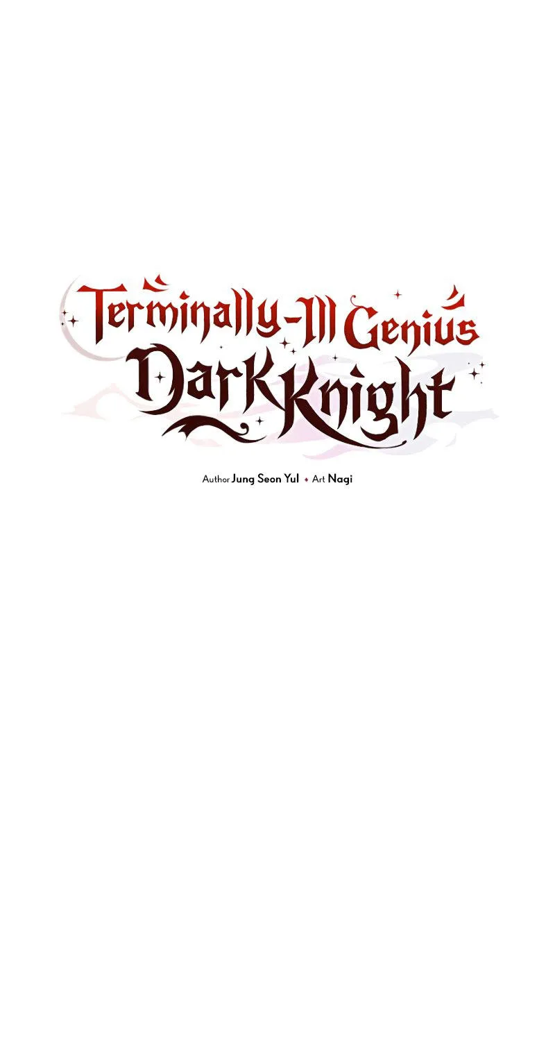 Terminally-Ill Genius Dark Knight - หน้า 29